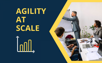 Agility at Scale